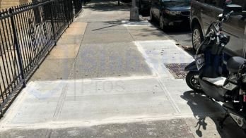 How Tree Roots Damage Sidewalks in nyc